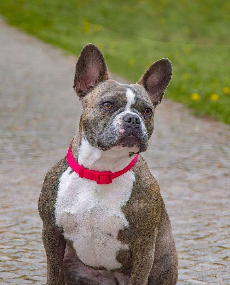 Vor dem Portrait