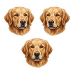 3 Tiere